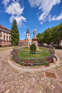 Monument to Count Franz, church tower, Erbach town church, Erbach castle, trees, market square,