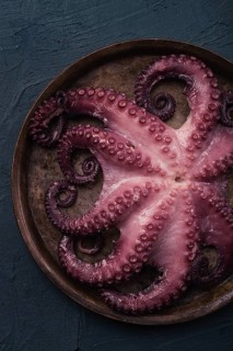 Boiled octopus, close-up, rustic style, no people, top view, close-up