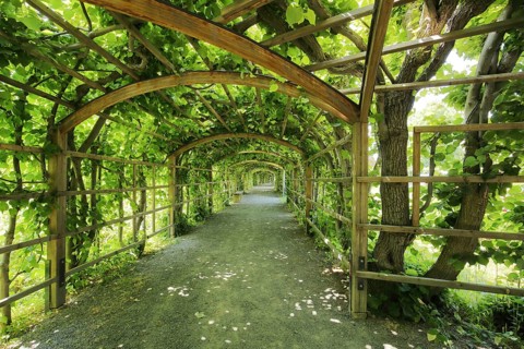 Empty porch, pergola with portico and ornamental garden, wooden beams, wooden structure, footpath,