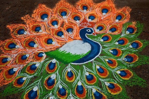 Rangoli depicting a peacock, India. Rangoli is an art form originating from India. Patterns are