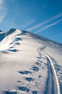 Trail of ski tourers next to a snowfall, small grater, Berchtesgaden National Park, Schönau am