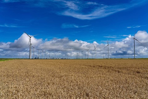 Wind farms Westereems and Growind, in the north of the Netherlands, near Eemshaven, energy centre,