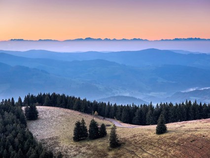 View from the summit of the Belchen (1414m) over the hills of the Black Forest to the Swiss Alps at