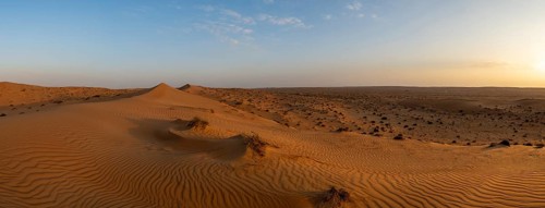 Sand dunes in the Wahiba Sands desert, Oman