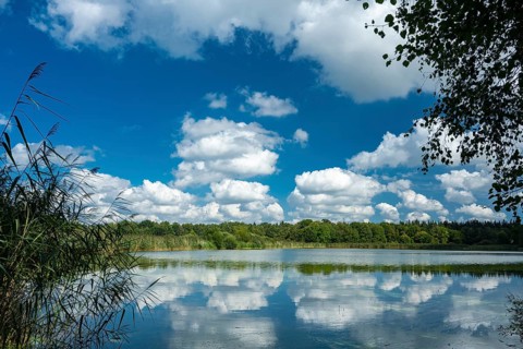 Cumulus clouds over Ahlhorn fish ponds, Ahlhorn, Lower Saxony, Germany