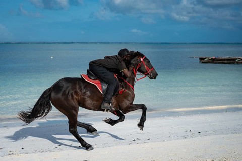A person riding a dark horse at full gallop along a pristine white sand beach next to turquoise