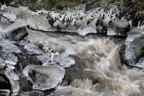 Natural ice sculptures on a stream, Emsland, Lower Saxony, Germany