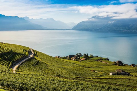 Picturesque village in the vineyards by the lake, Rivaz, Lavaux, UNESCO World Heritage Site, Lake