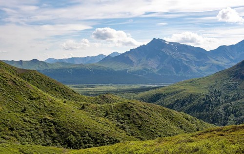 Tundra and mountainous landscape of the Alaska Range, Sable Pass, Denali National Park and