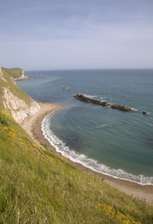 A line of limestone stumps cross Man o' War bay on the Jurassic coast near Lulworth Cove, Dorset,
