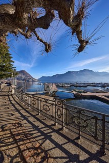 Lakeside promenade, lake, railing with decorations, sidelight, shadow, trees, hill, marina, blue