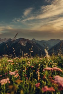Hiking tour on the Hönig mountain in the Lechtal valley near Berwang in Tyrol, Austria
