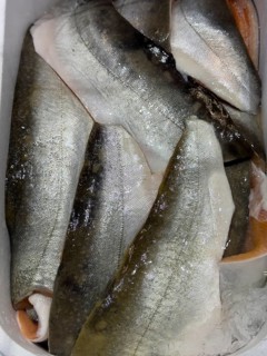 Fillets of Arctic char (Salvelinus alpunus) on ice in refrigerated counter Fish counter display