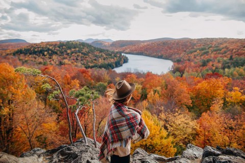 A lone traveler enjoys the breathtaking view of Quebec's autumn foliage. The vibrant colors of the