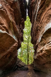 Sandstone Cliffs, Old Castle Rock, near Eppenbrunn, Palatinate Forest, Rhineland-Palatinate,