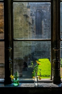 Window with two bottles of flowers and a view outside, bathed in sunlight