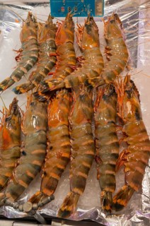 Prawns spread on ice, frozen presentation, raw prawns, fish market, Trouville-sur-Mer, Trouville,