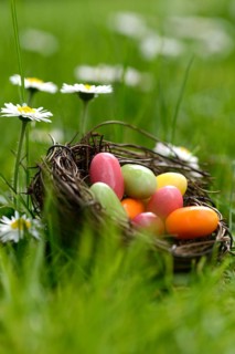 Sugar eggs in an Easter nest in the meadow with daisies