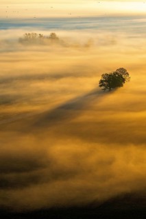 Rolling mist over the fields with trees in a beautiful sunrise with shadows and sunrays at autumn