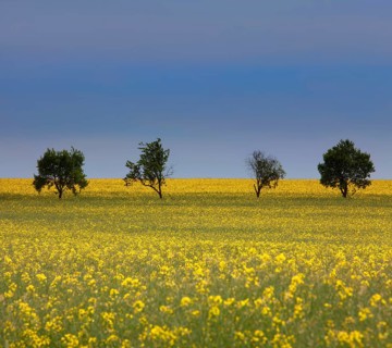 Landscape near Uslar, district of Northeim, Weser Uplands, southern Lower Saxony, Germany