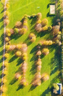Aerial view of the pilgrimage meadow with tree planting in the form of a cross in the pilgrimage