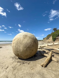 Round stones of the Moeraki Boulders at Moeraki Beach, Moeraki, South Island, New Zealand, Oceania