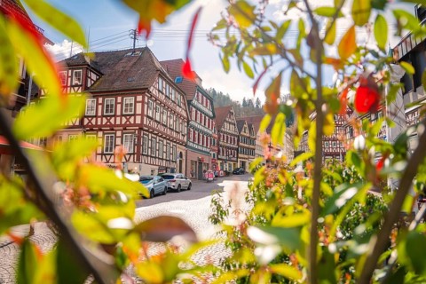 Lively old town with half-timbered houses surrounded by green vegetation, Calw, Black Forest,