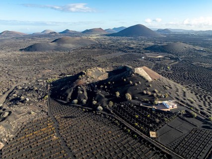Typical drywall viticulture in volcanic landscape, on volcanic ash, lapilli, aerial view, vines, La