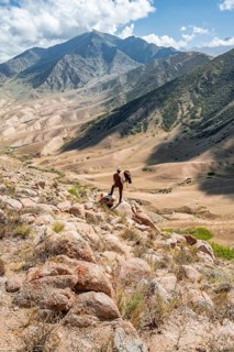 Traditional Kyrgyz eagle hunter hunting in the mountains in a dry landscape, near Kysyl-Suu, Issyk