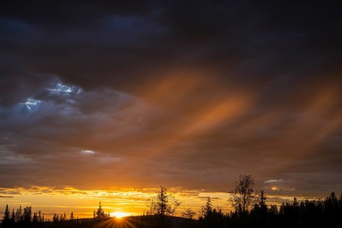 Evening mood, Gällivare, Norrbotten, Lapland, Sweden, June 2021