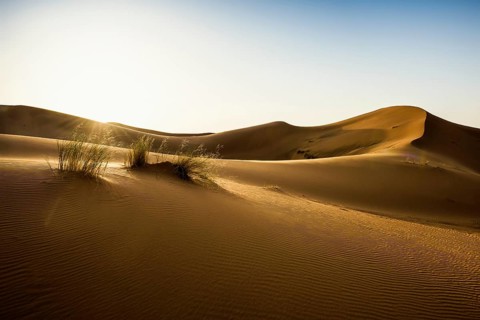 Sand dunes, sunrise, near Merzouga, Meknès-Tafilalet region, Erg Chebbi, northern Sahara, Morocco