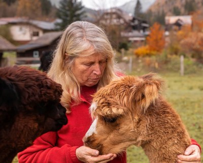 An elderly woman lovingly cares for alpacas, gently caressing a young alpaca in the serene Austrian