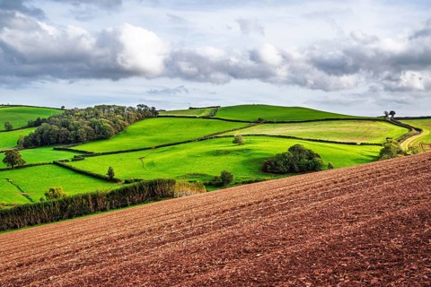 Colours of Devon Farms and Fields over Paignton and Berry Pomeroy, Totnes, England, United Kingdom
