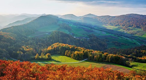 View of an autumnal forest from the Gisliflue, behind the Jura foothills with Wasserfluh and