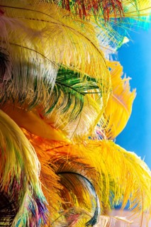 Colorful feathers and plumes that will be used to make carnival costumes in Brazil