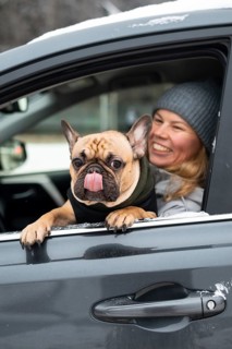A happy woman in a winter hat sits in a car with a French Bulldog peeking out the window, tongue