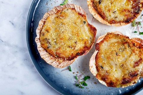 Scallop shells, stuffed, baked with cheese, in the oven, julienne with scallops