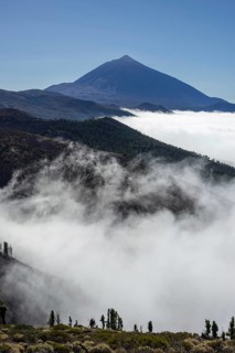 Panorama from east over the Teide National Park, Parque Nacional del Teide, with trade wind clouds,