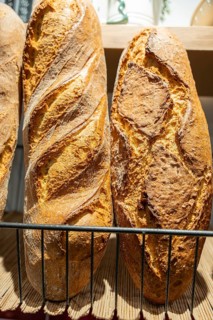 Freshly baked artisan loaves with a golden brown, crusty exterior are standing vertically on a
