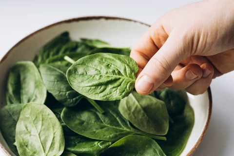 A close-up of fresh green spinach leaves in a bowl, highlighting their vibrant color and natural