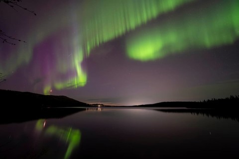 Northern Lights (Aurora borealis) reflected in a forest lake, Gällivare, Norrbotten, Lapland,