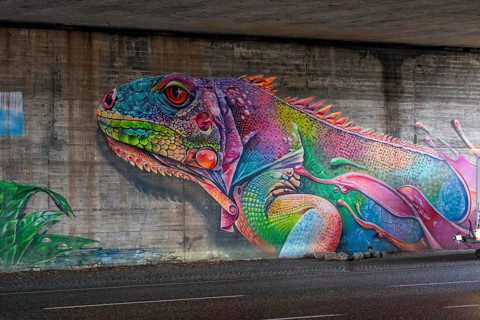 Colourful graffiti, mural, iguana or lizard in rainbow colors, in a motorway bridge underpass of