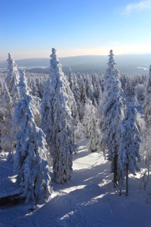 Winter landscape in the Fichtel Mountains, view from the Ochsenkopf, Bayreuth County, Upper