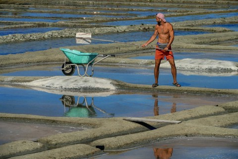 France, Brittany, A man extracting salt in Salants de Guerande