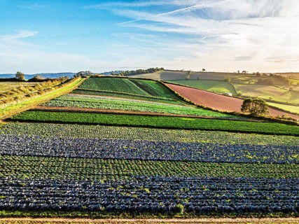 Colours of autumn Fields and Farms over Sheldon from a drone, Torbay, Devon, England, United