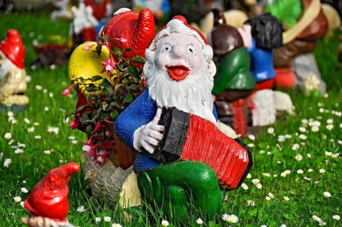 Garden gnome as musician with accordion in a front garden on a flower meadow with daisies in