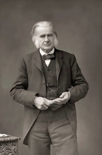 Thomas Henry Huxley, 1825 – 1895, English biologist and anthropologist, specialized in comparative