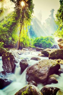Vintage retro effect filtered hipster style image of tropical waterfall Phnom Kulen, Cambodia