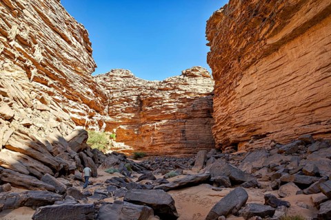 Deep gorge with jagged rock faces and a wandering man in an arid environment, rocky gorge in the