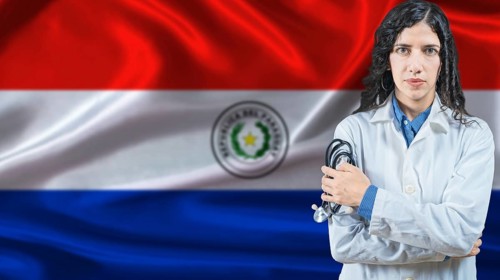 Paraguayan national health system, Medical professional on Paraguay flag background
